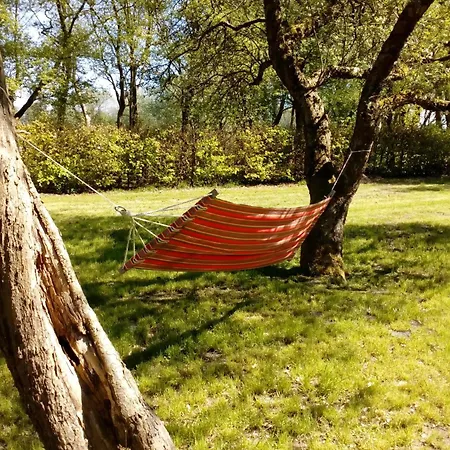 Birkenhof Hébergement de vacances