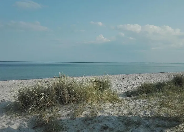 Birkenhof Nyaraló *